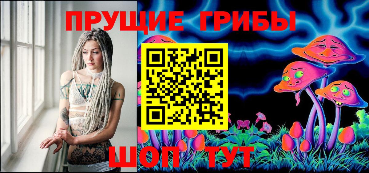Истра  Псилоцибиновые грибы Psilocybe  Псилоцибиновые грибы мухоморы  наркошоп  Вход с VPN 